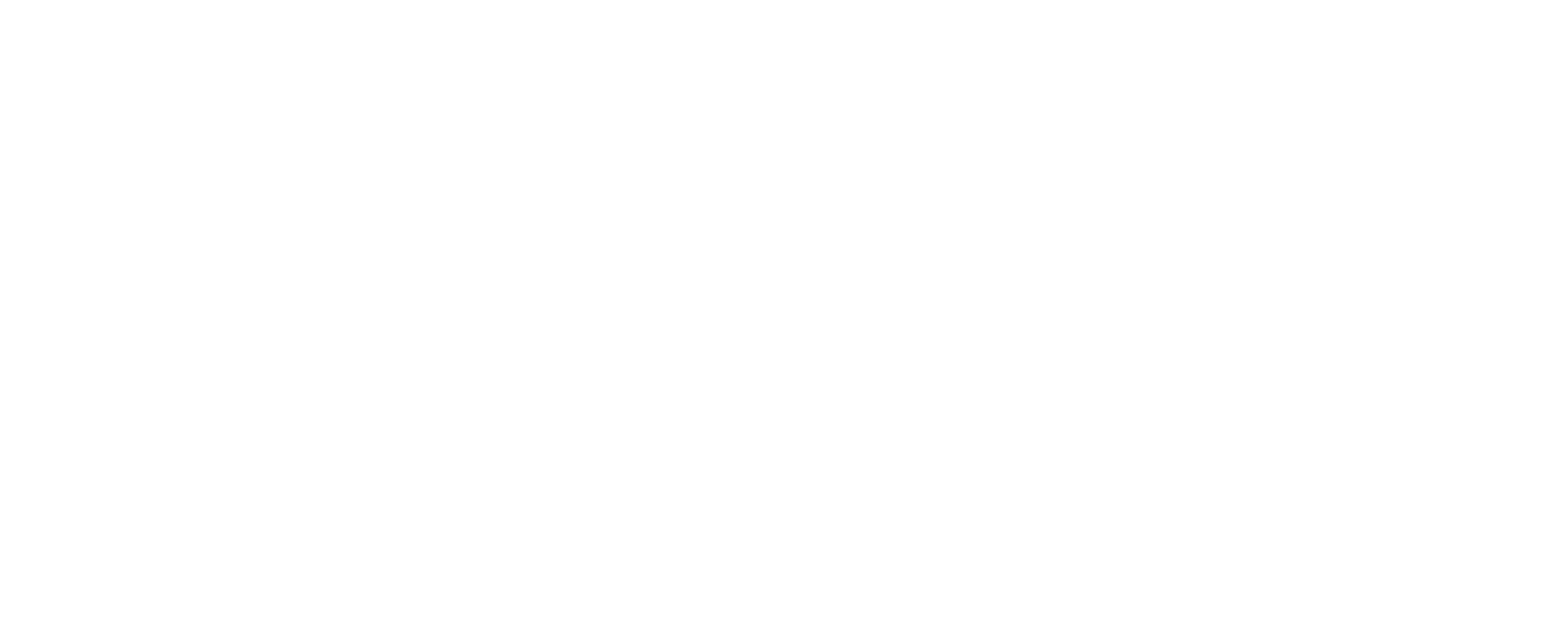 logo light
